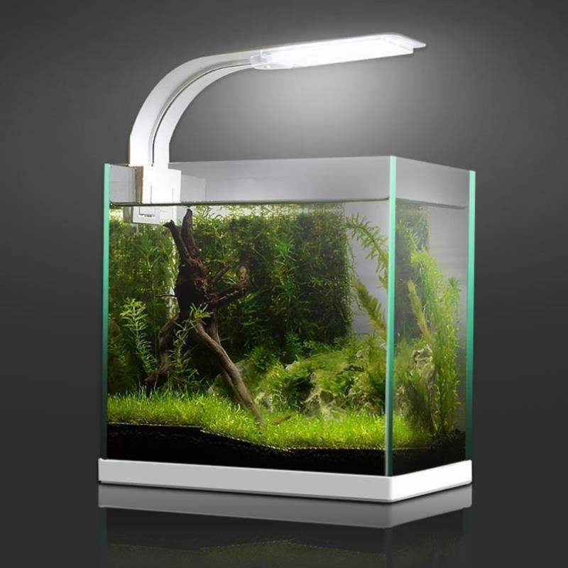 Đèn bể cá cảnh mini