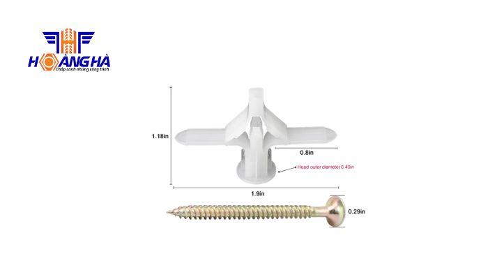 chi tiết cấu tạo của tắc kê bướm