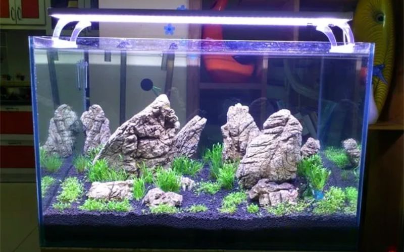 5. Thời gian bật đèn lý tưởng trong ngày