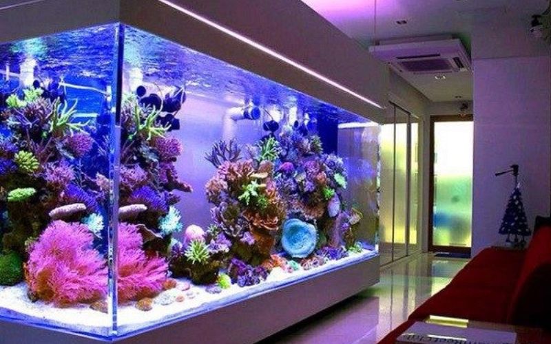 3. Lựa chọn đèn phù hợp theo mục tiêu của bạn