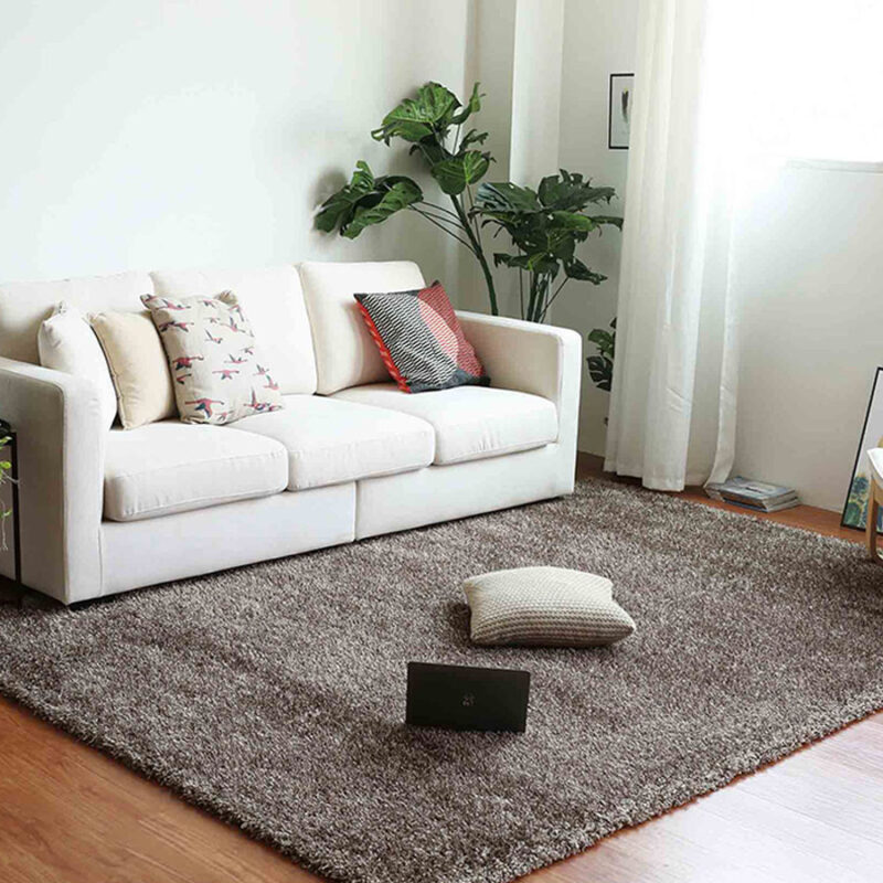 Các loại thảm phòng khách giá rẻ phổ biến