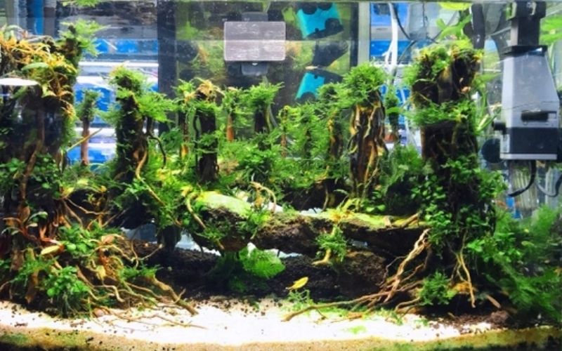 Công thức tính công suất tiêu thụ điện thực tế