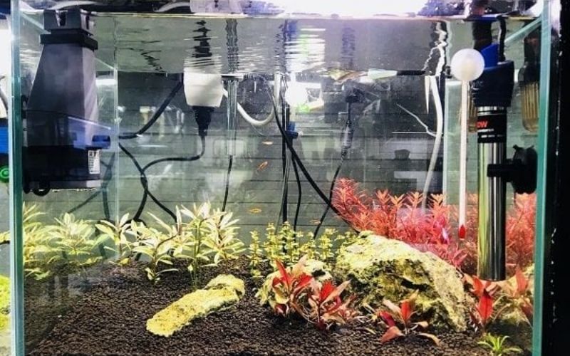 Cơ chế hoạt động của máy sưởi bể cá