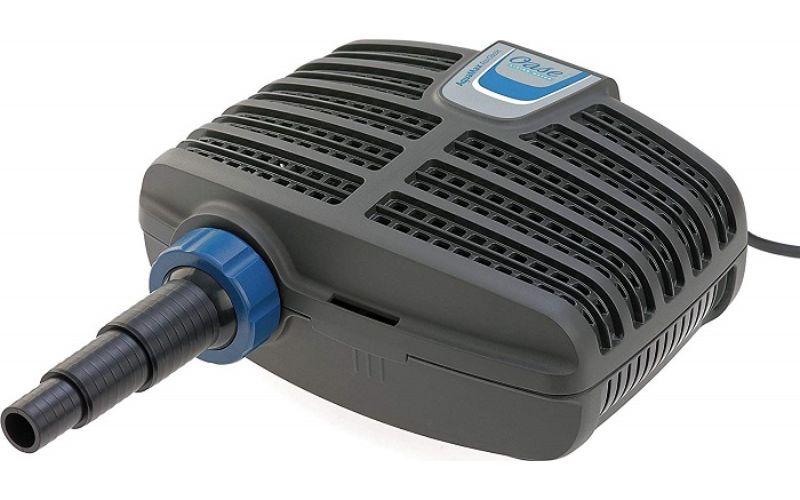 Tại sao bạn nên mua thiết bị tại Cá cảnh Tài Lộc?