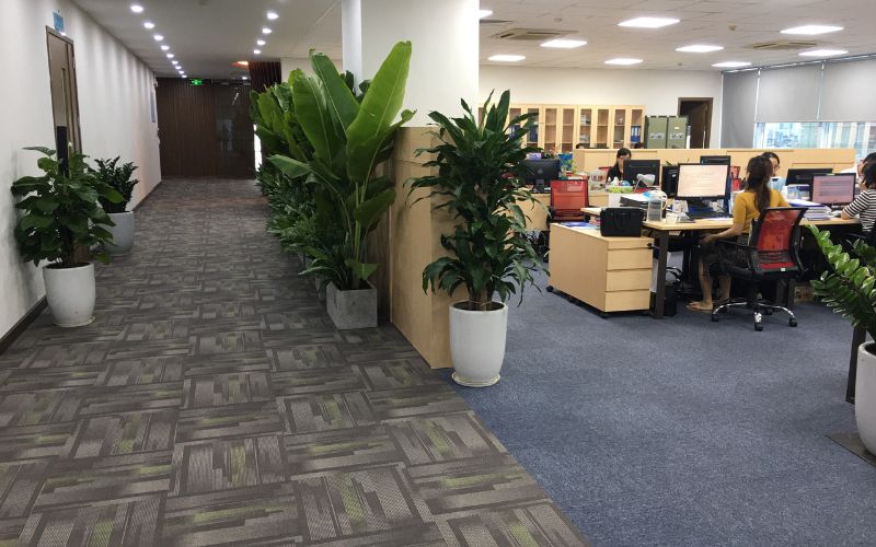 Vai trò của thảm trải sàn phòng họp trong không gian làm việc