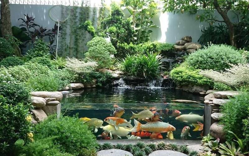 Hệ thống lọc – "Lá phổi" của bể thủy sinh