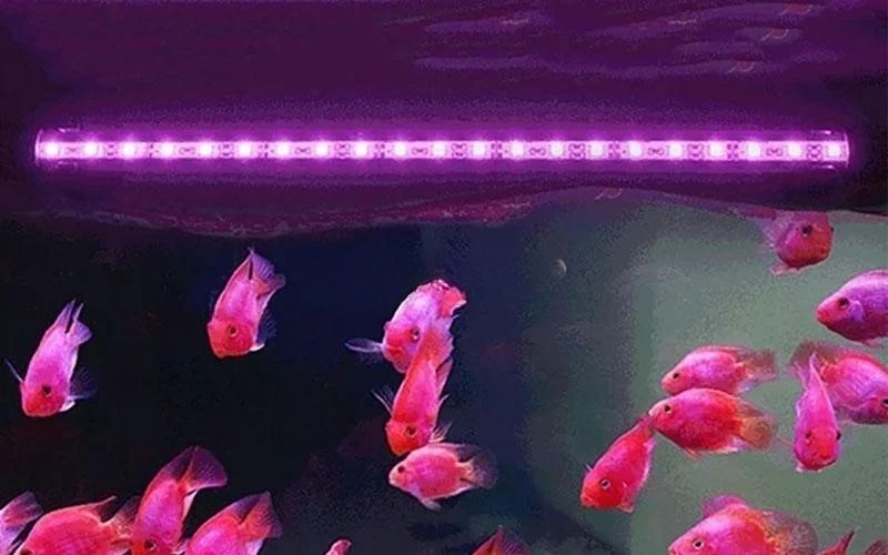 Hiểu về các thông số ánh sáng cơ bản